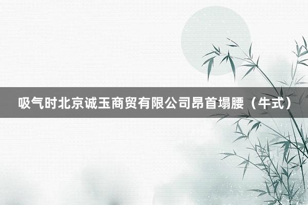 吸气时北京诚玉商贸有限公司昂首塌腰（牛式）